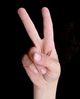 Nom du fichier=peace.jpg
Taille du fichier=7Ko
Dimensions : 242x300
Ajouté le : 08 Juin 2007 peace.jpg
