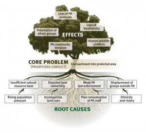 arbre conflit ecole de la paix do no harm ne pas nuir